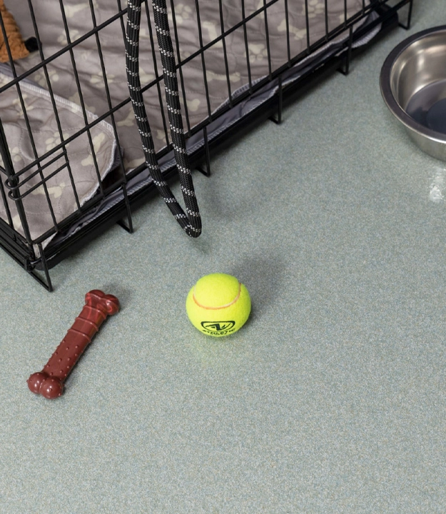 Professional quartz flooring in home with pets