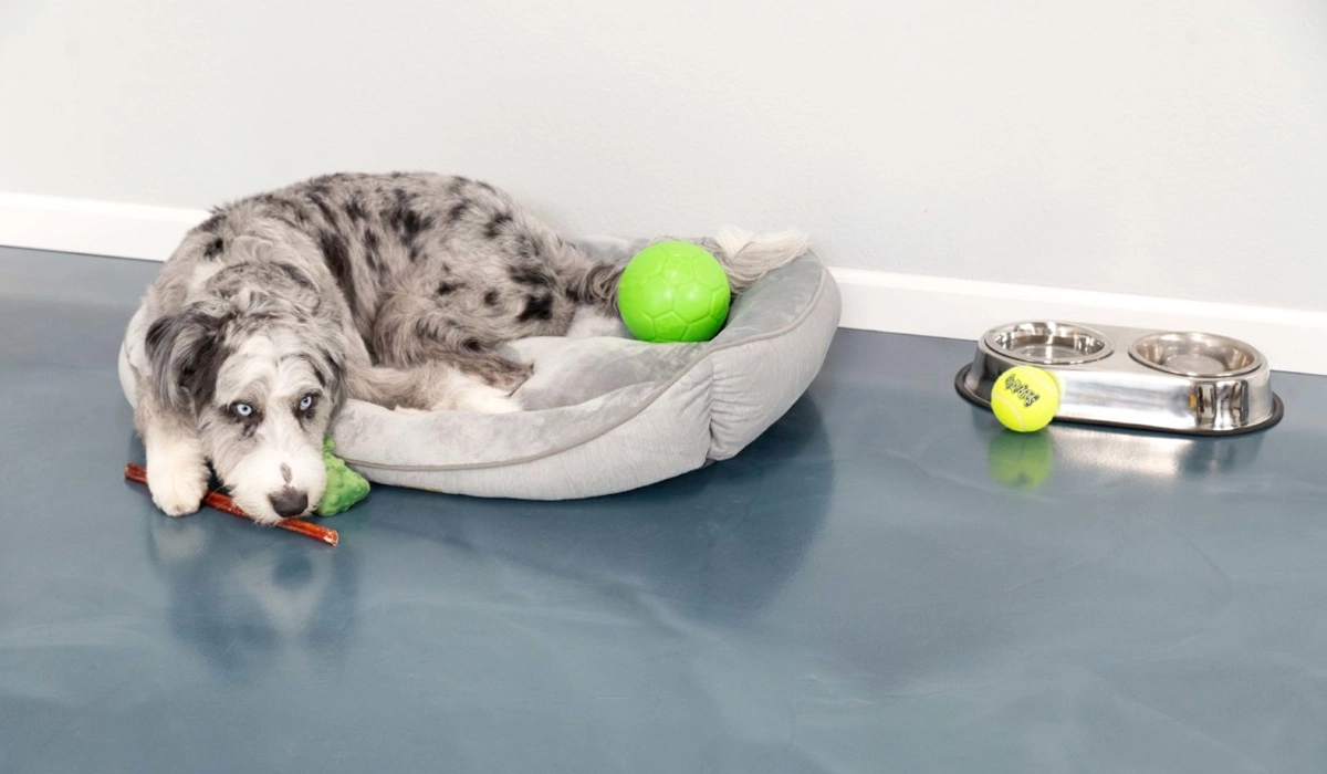 Sleek metallic epoxy coatings